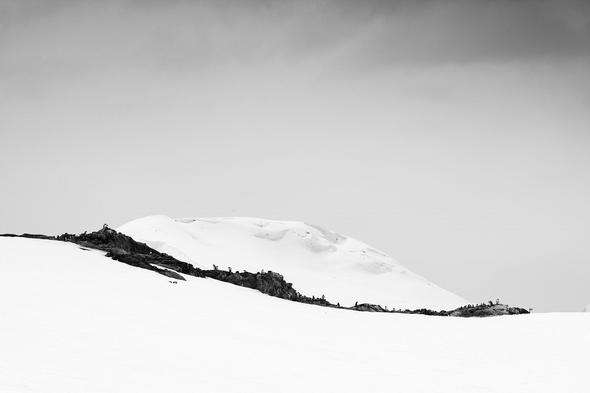 Antarctica - Stark and Minimal