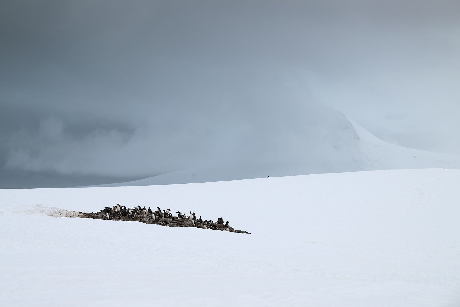 Antarctica - Stark and Minimal